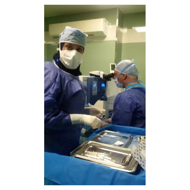 Disposable Isolation Gowns (Pack of 50)