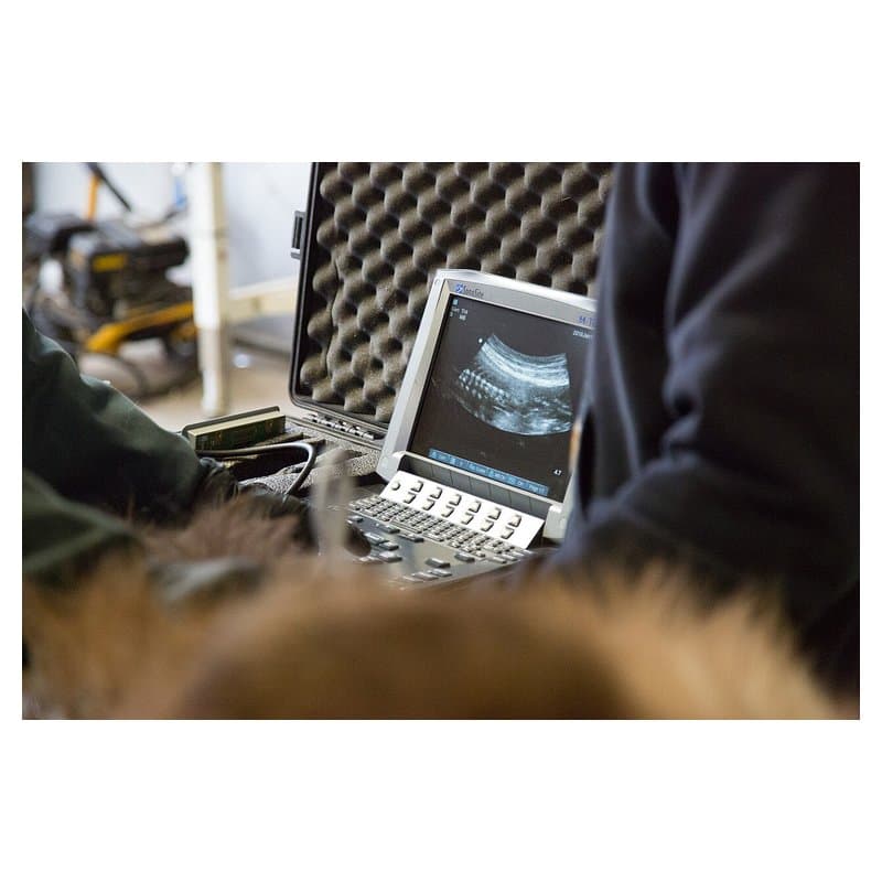 Veterinary Ultrasound Scanner Vetus